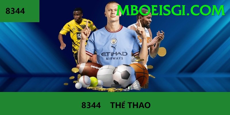 Cá Cược Thể Thao - Trải nghiệm tuyệt vời